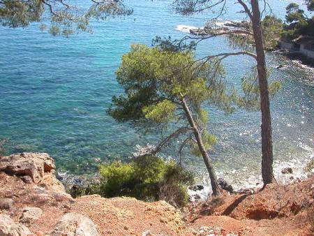Bandol